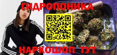 мяу мяу мука Бузулук