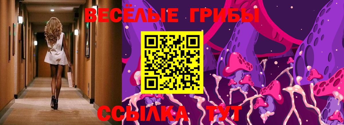 Псилоцибиновые грибы Cubensis Биробиджан